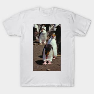 Royal Penguins on the Beach at Macquarie Island T-Shirt